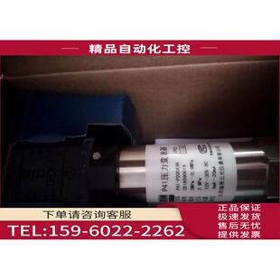 P100A26 议价 P41 正 压力仪表 瑞普三 P200A36