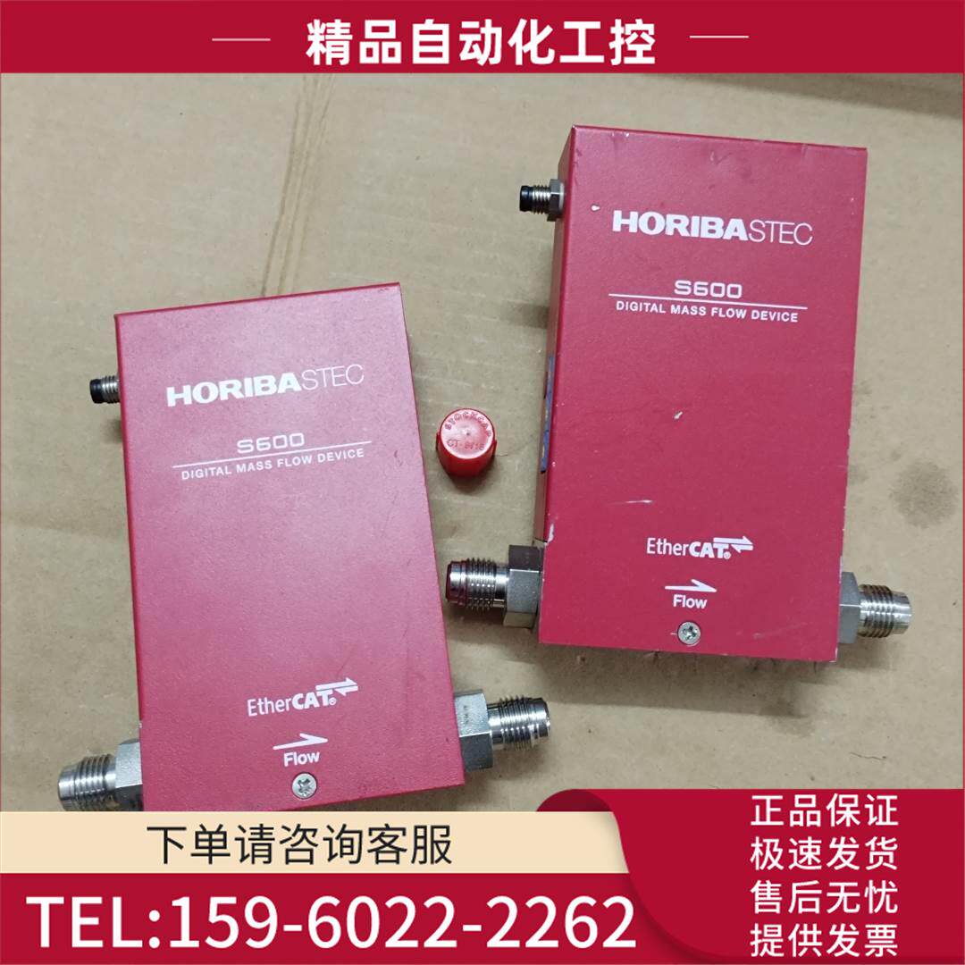 Horiba流量计S600-BR527，N2O气体，流量20SLM，【议价】