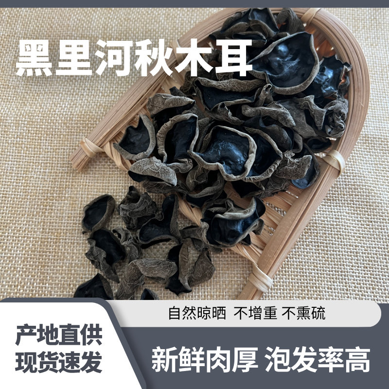 秋木耳内蒙古赤峰宁城特产黑木耳干货黑里河木耳赤峰特产2025新