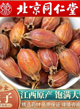 北京同仁堂中药材栀子500g新货栀子栀子果泡水喝红栀子上色卤肉香