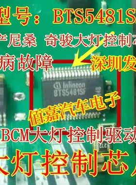 BTS5481SF 适用日产尼桑汽车电脑BCM大灯控制驱动IC芯片全新进口