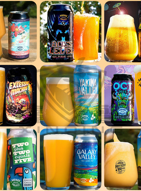 新西兰进口车库计划绿颊鹦鹉三倍IPA日出山谷双倍浑浊精酿啤酒