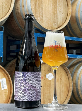 FEVER国产精酿高分啤酒想象中的雨 农舍艾尔 赛松750ml