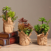 美式 乡村仿真多肉花草盆栽桌面小摆件创意客厅酒柜盆景装 饰品摆设