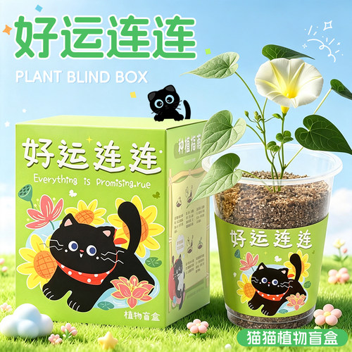 植物盲盒植物观察diy科学种子幼儿园小学生奖品生日礼物定制批发