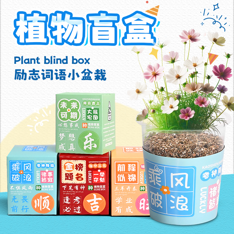 儿童励志植物盲盒科学观察