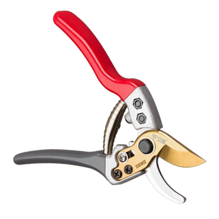 园艺剪刀修剪树枝花剪园艺剪刀修枝剪果树花艺剪日本SK5刀头超硬