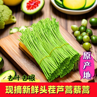 原产地现摘新鲜蔬菜去叶去老根净菜藜蒿芦蒿杆子柳蒿芽