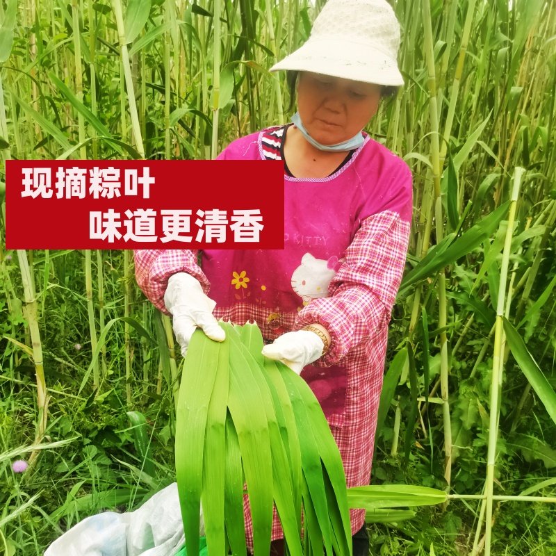 现摘新鲜粽叶芦苇叶农家野生大小宽可晒干细长无绳包粽子的叶子,粮油调味/速食/干货/烘焙,粽叶,淘宝优惠券,粉丝福利购,淘宝优惠卷