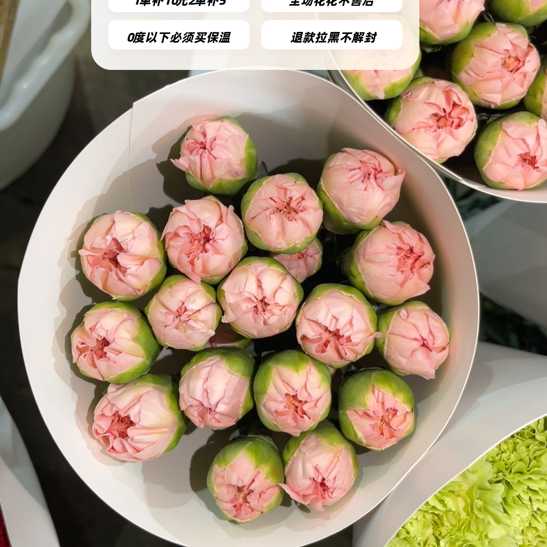 不售后，必买永爱单头康1扎16～20只，购买三单包邮