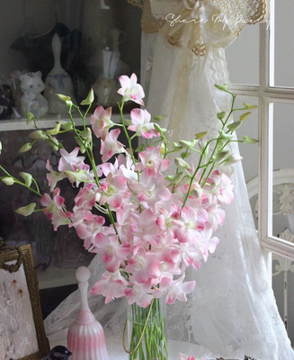 不售后，推荐桃妖洋兰1扎8～10只，购买三单包邮