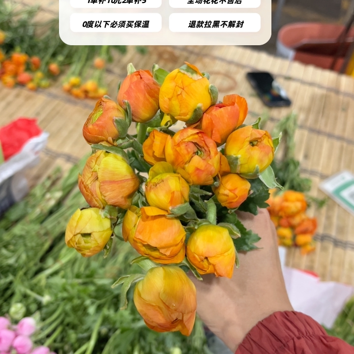 不售后，推荐橙色洋牡丹1扎8～10只，购买三单包邮
