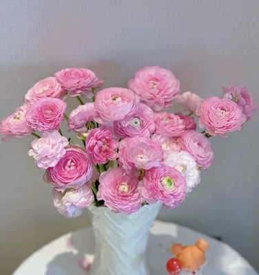 不售后，推荐粉色洋牡丹1扎8～10只，购买三单包邮
