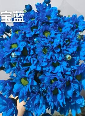 不售后，丰岛宝蓝吸色小菊1扎8～10支，购买三单包邮