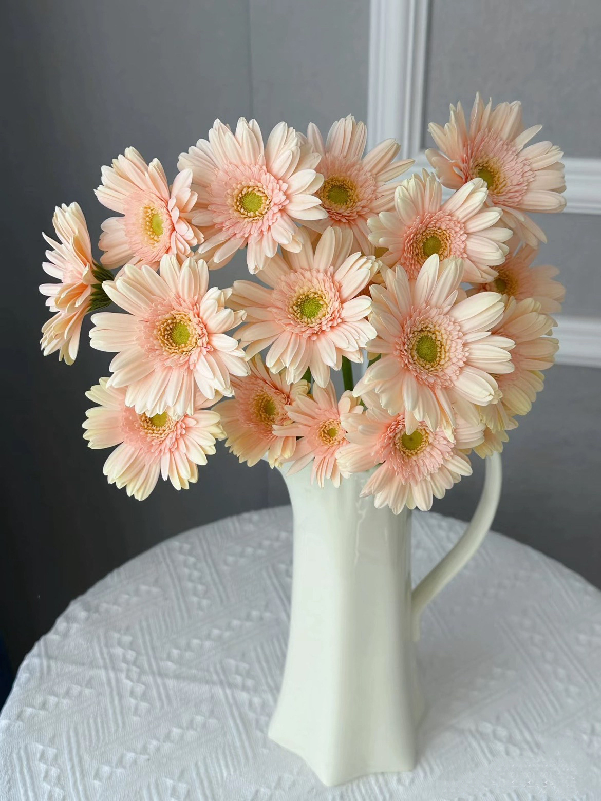 不售后，爱必达迷圣托里尼非洲菊1扎8～10只，购买三单包邮