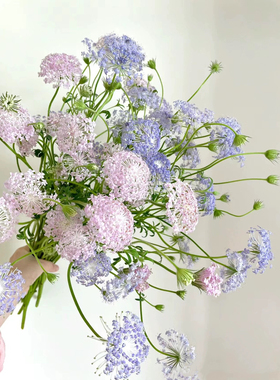 不售后，粉色加紫色翠珠共2扎，购买三单包邮