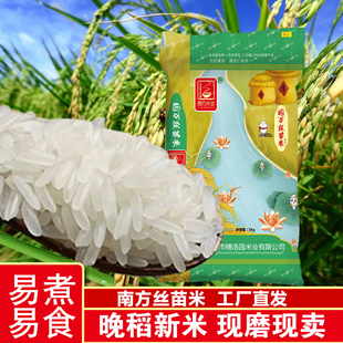 园万米业丝苗米5kg新米清香籼米南方丝苗真空包装产地直发