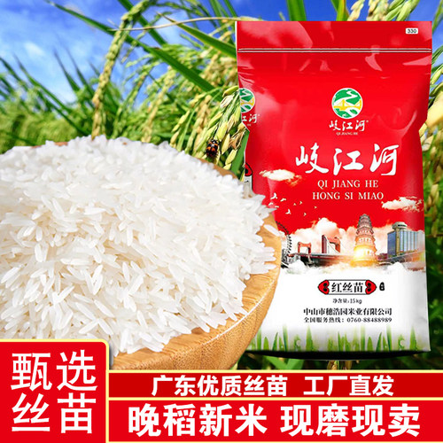 岐江河丝苗米30斤排骨饭米煲仔饭