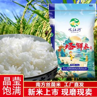 园万米业新米15kg大圣鲜米丝苗籼米米粒细长香甜可口