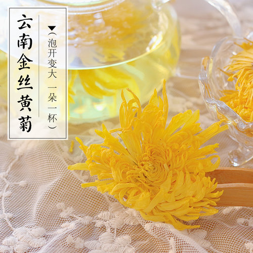 云南大金丝黄菊会开花贡高原品质