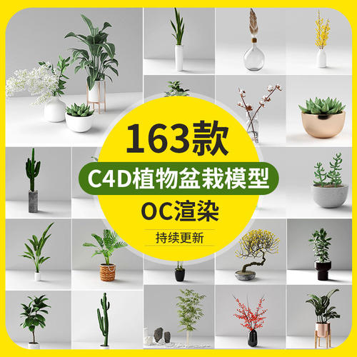 163款C4D植物盆栽oc渲染带材质渲染多肉绿植藤蔓花束花瓶模型素材