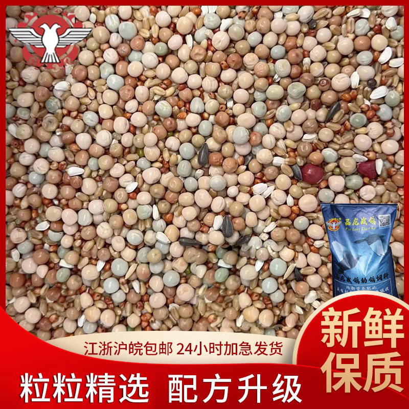 战鸽鸽粮饲料幼鸽无玉米50斤包邮