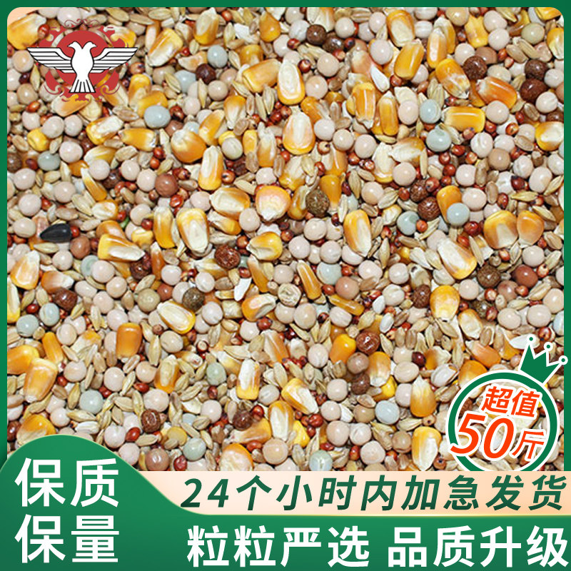 品龙营养鸽粮带玉米鸽子粮食鸟食观赏鸽肉鸽信鸽饲料50斤包邮通用