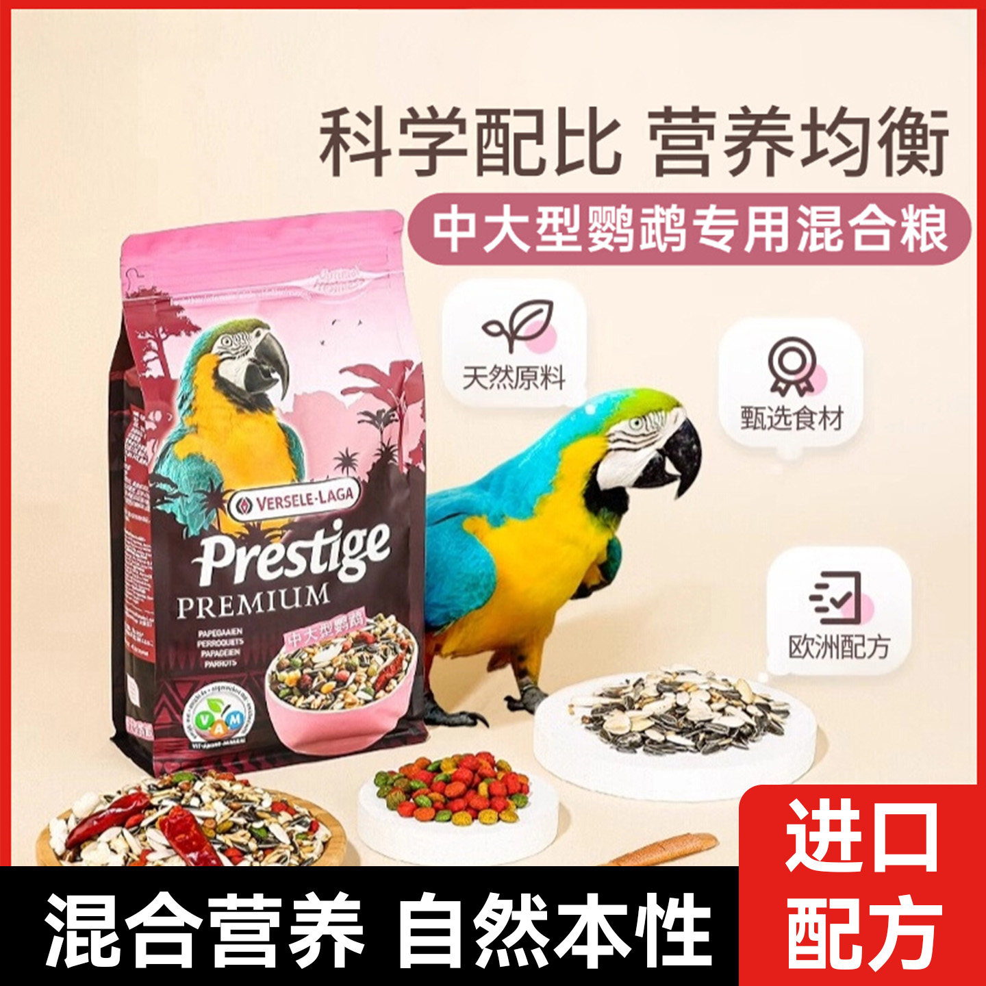 比利时凡赛尔中大型鹦鹉粮葵花金刚灰鹦鹉鸟粮食天然谷物混合饲料