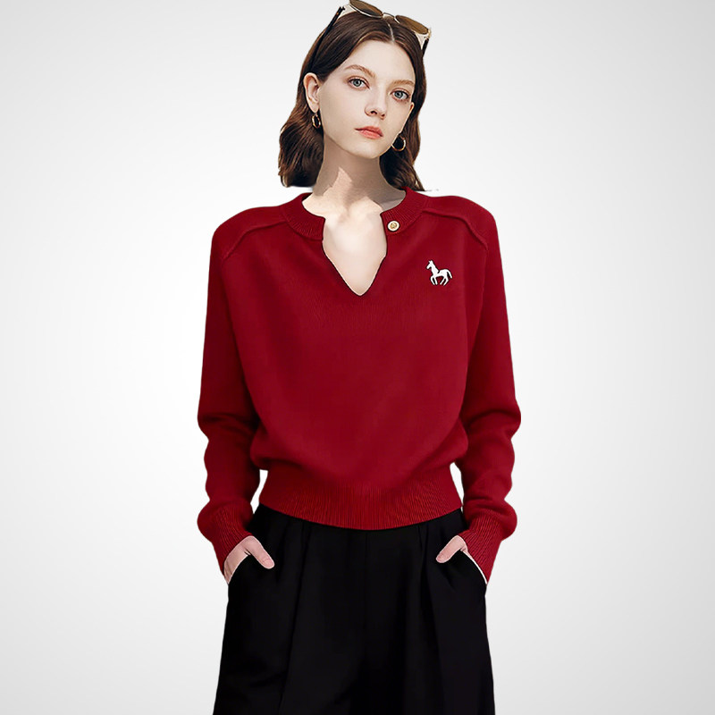 时尚精致小马刺绣V领毛衣女