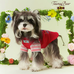 汤尼熊宠物衣服小狗狗卫衣春夏薄款雪纳瑞泰迪比熊约克夏猫咪T恤