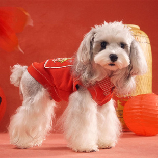 汤尼熊新年装小狗狗秋冬款红色喜庆卫衣雪纳瑞泰迪比熊约克夏猫咪