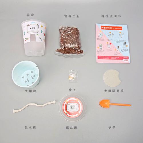 儿童种植小盆栽手工diy科学实验玩具幼儿种子发芽植物观察G07