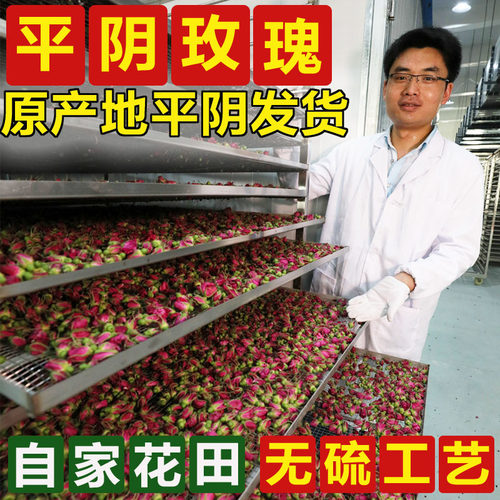 头期精选平阴玫瑰花茶低温无硫平阴干玫瑰花蕾茶泡水喝的重瓣玫瑰