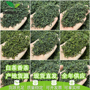 松阳手工白茶香茶2025新茶日照浓豆香味炒青绿茶茶叶散装电商