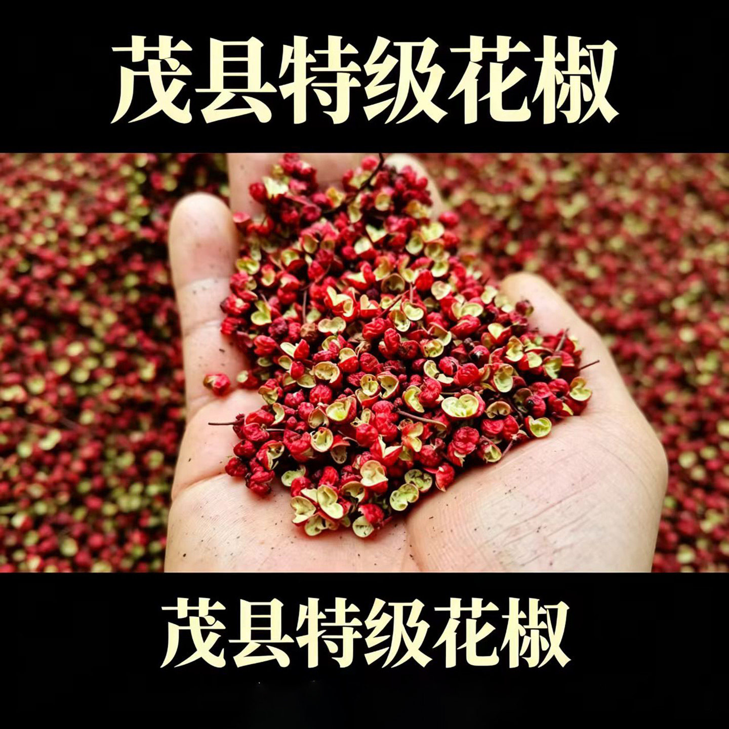 茂县特级大红袍花椒四川省阿坝州调味品麻椒1斤装精选花椒颗粒