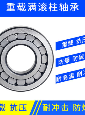 重载抗压满滚柱滚子轴承311SL192305 192306 192307NNCF2308 2309