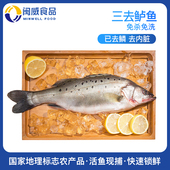 新货闽威海鲈鱼冷冻海鲜三去生鲜宁德深海鱼开背鲈鱼批发商用冰冻
