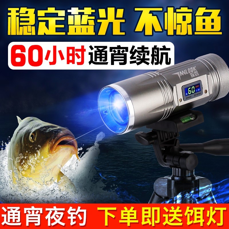 超亮强光夜光夜钓灯钓鱼灯大功率紫光氙气蓝光电筒w渔具用品1000