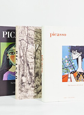 Picasso艺术画册毕加索样板间书房柜中文装饰摆件翻页客厅售楼处