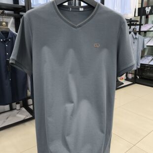 新款 夏季 男士 休闲百搭丝光棉凉感抗皱舒适V领短袖 潮 T恤衫 H家