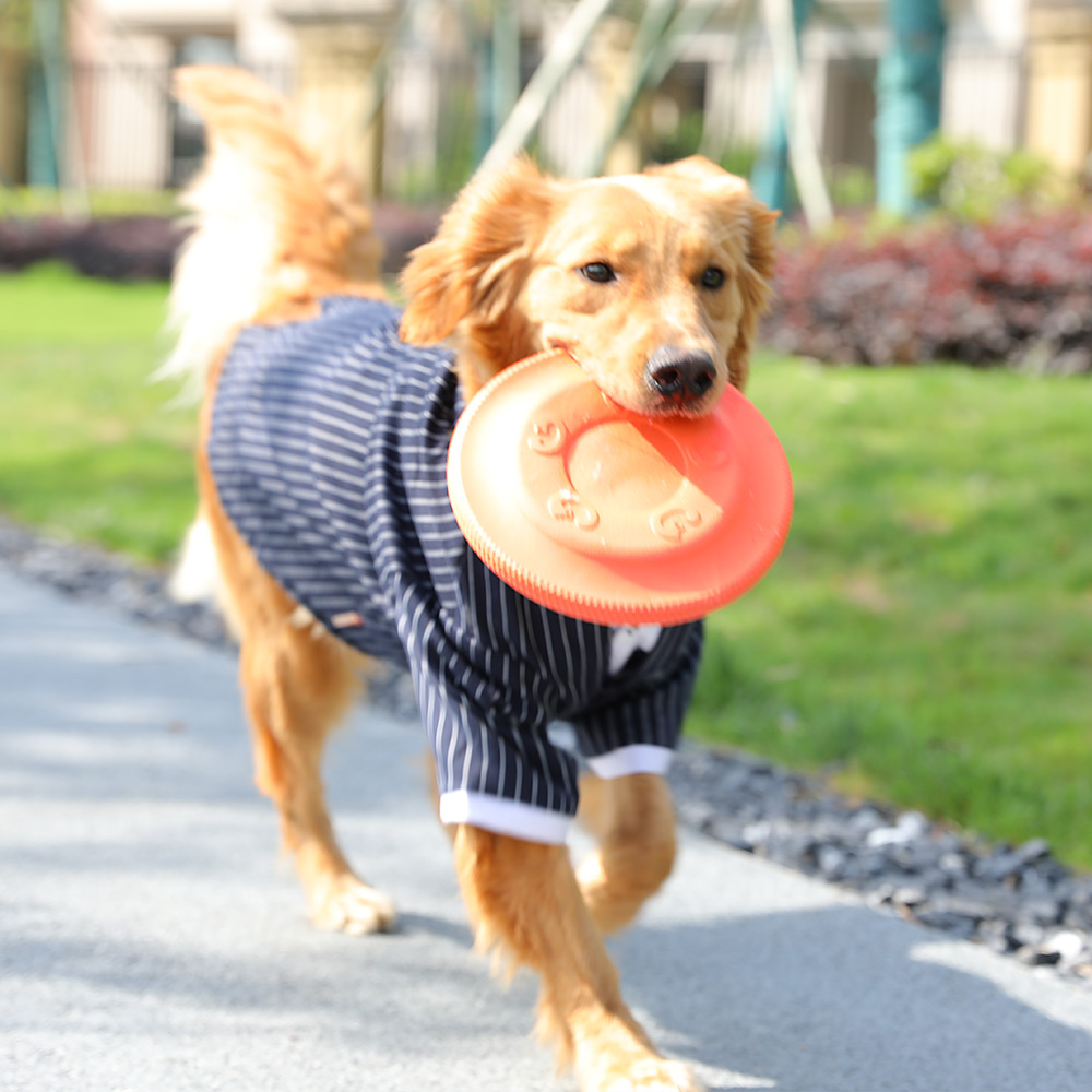 狗狗玩具飞盘训犬专用