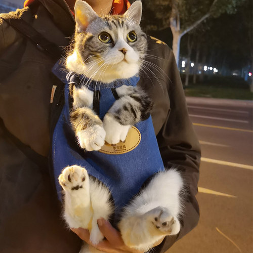 猫咪胸前包背带猫包便携外出携带双肩背猫兜猫袋出行宠物用品背包 - 封面