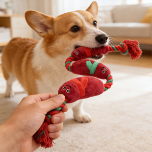 狗狗玩具发声耐咬磨牙柯基消耗体力绳结拔河小狗咬绳自嗨解闷神器