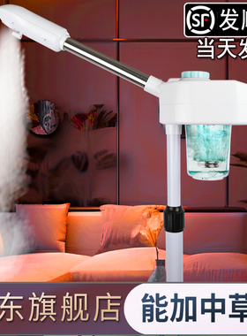 【泰东旗舰店】热喷仪美容院专用中药热喷蒸脸仪器蒸气机脸部美容