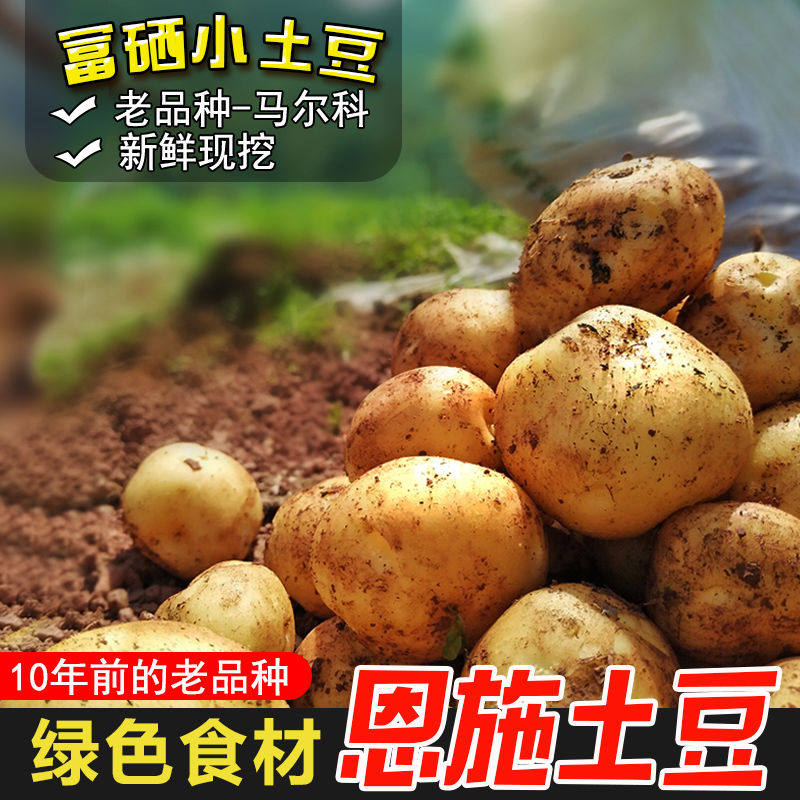 【产地直发】恩施富硒小土豆新鲜蔬菜马铃薯高山黄心土豆农家自种