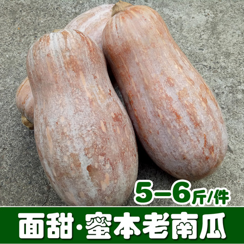 当季新鲜农家黄皮蜜本老南瓜糯甜