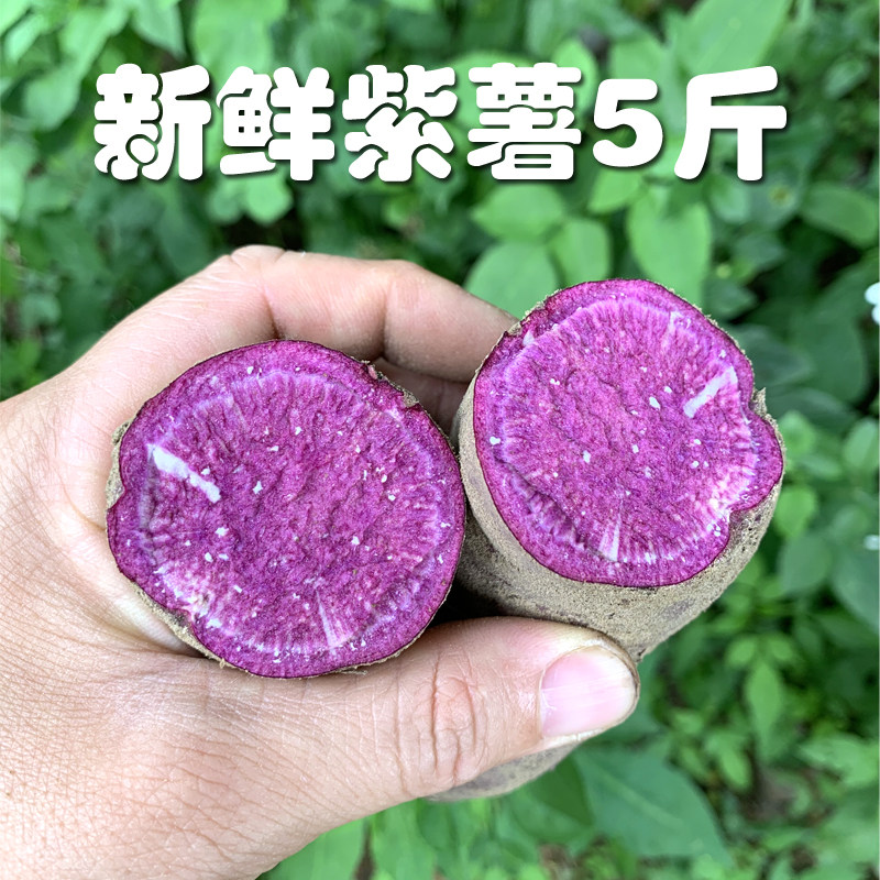 广西巴马紫罗兰紫薯新鲜农家自种小个沙地紫心红薯粉糯5/10斤番薯