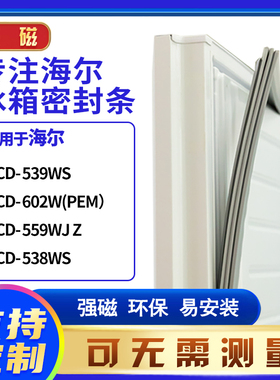 适用海尔BCD-539WS 602W(PEM） 559WJ Z 538WS冰箱密封条门封条胶