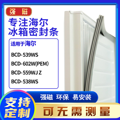 539WS602W(PEM）559WJZ海尔