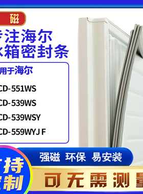 适用海尔BCD-551WS 539WS 539WSY 559WYJ F冰箱密封条门封条胶圈